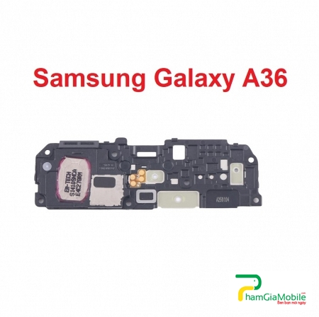 Loa Chuông, Loa Ngoài Samsung Galaxy A36 SM-A366B Speaker Ringer Buzzer